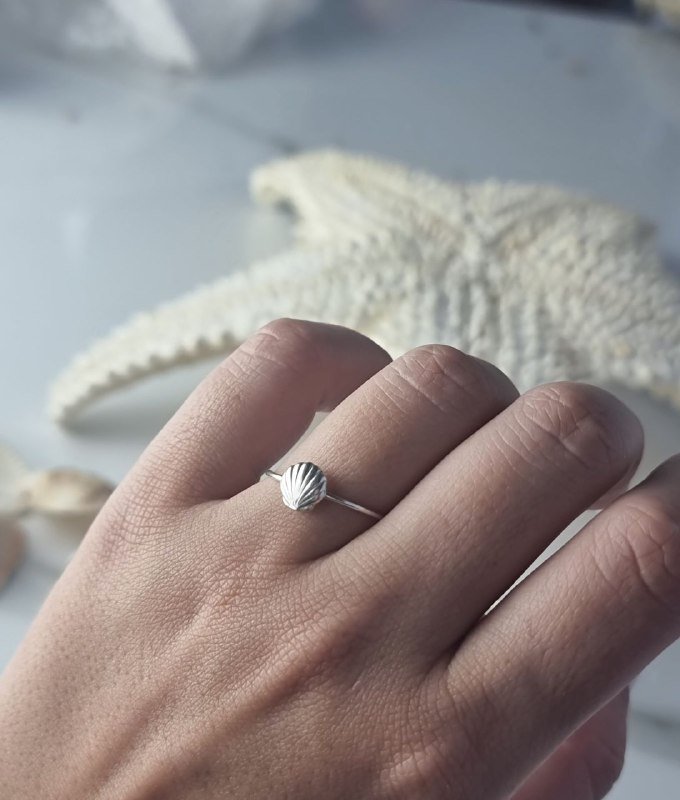 Anel de Prata Concha