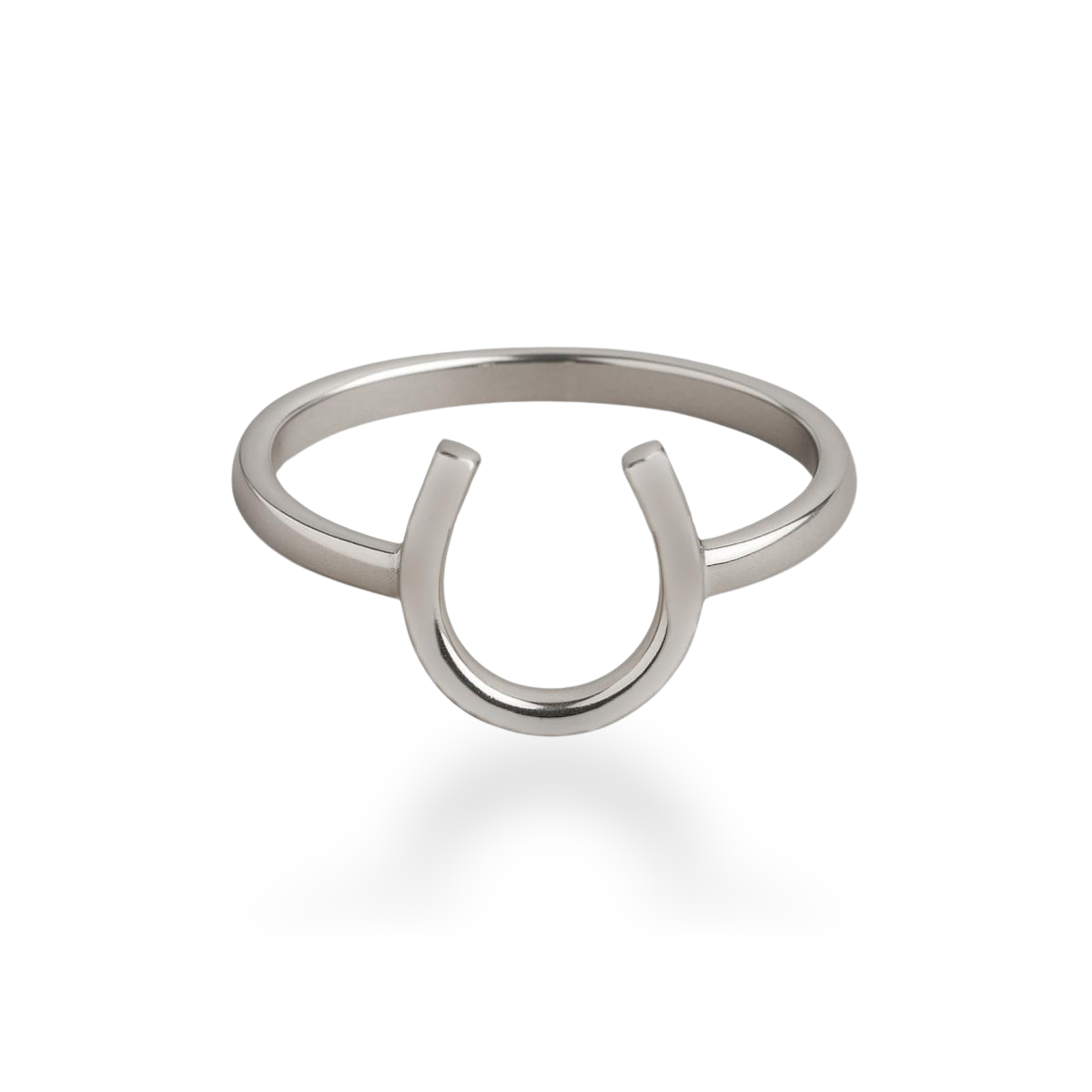 Anel de Prata Ferradura