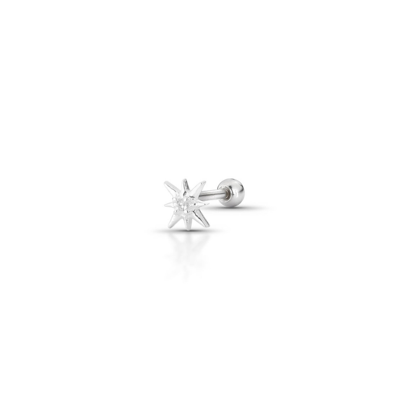 Imagem Piercings